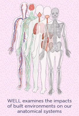 anatomical-systems