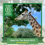 b corp best for environment