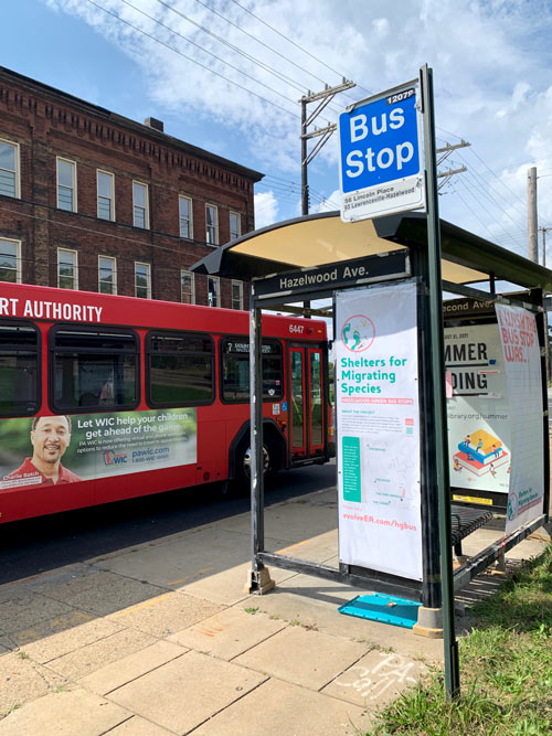 Pop-up activity at Second & Hazelwood bus stop